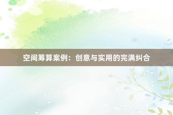 空间筹算案例：创意与实用的完满纠合