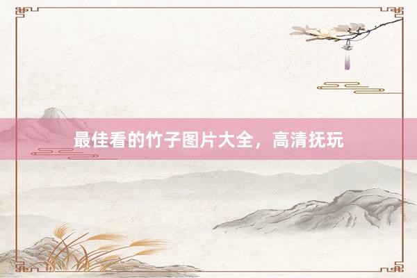 最佳看的竹子图片大全，高清抚玩