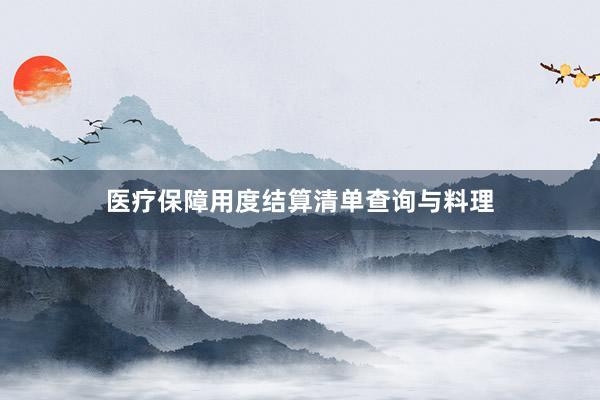 医疗保障用度结算清单查询与料理
