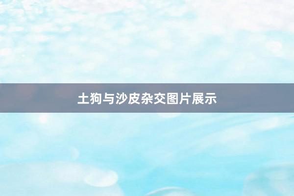 土狗与沙皮杂交图片展示